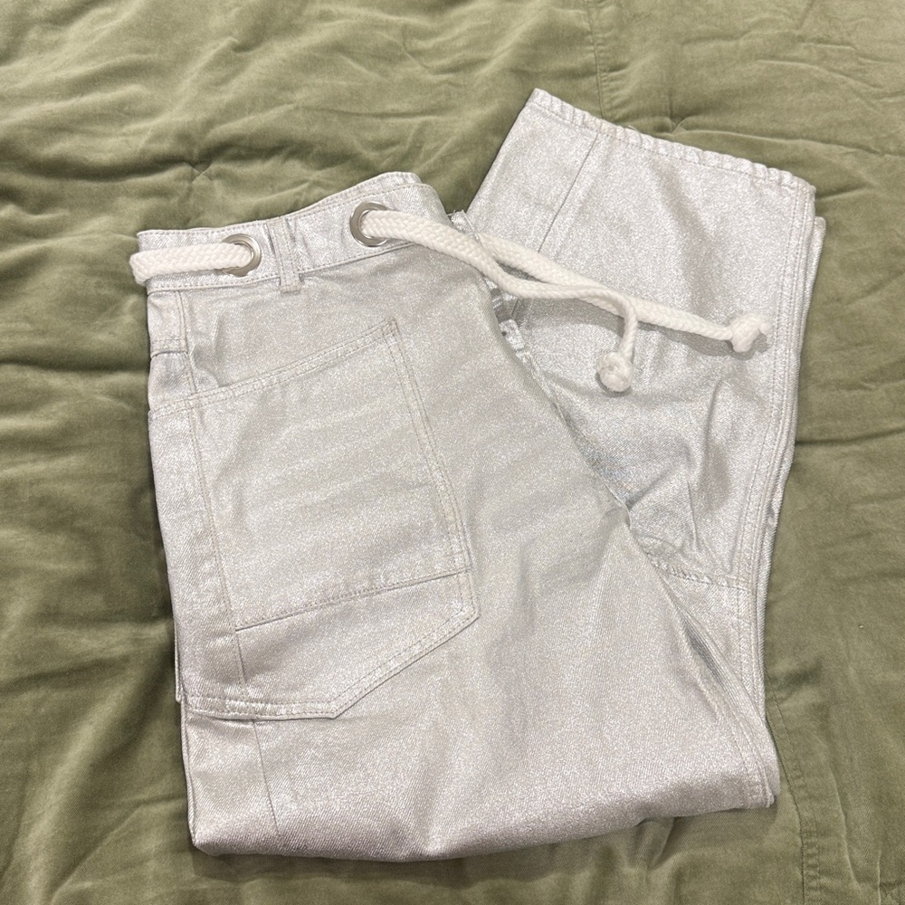 We The Free Silver Moxie Barrel Pants